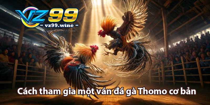 Cách tham gia một ván đá gà Thomo cơ bản